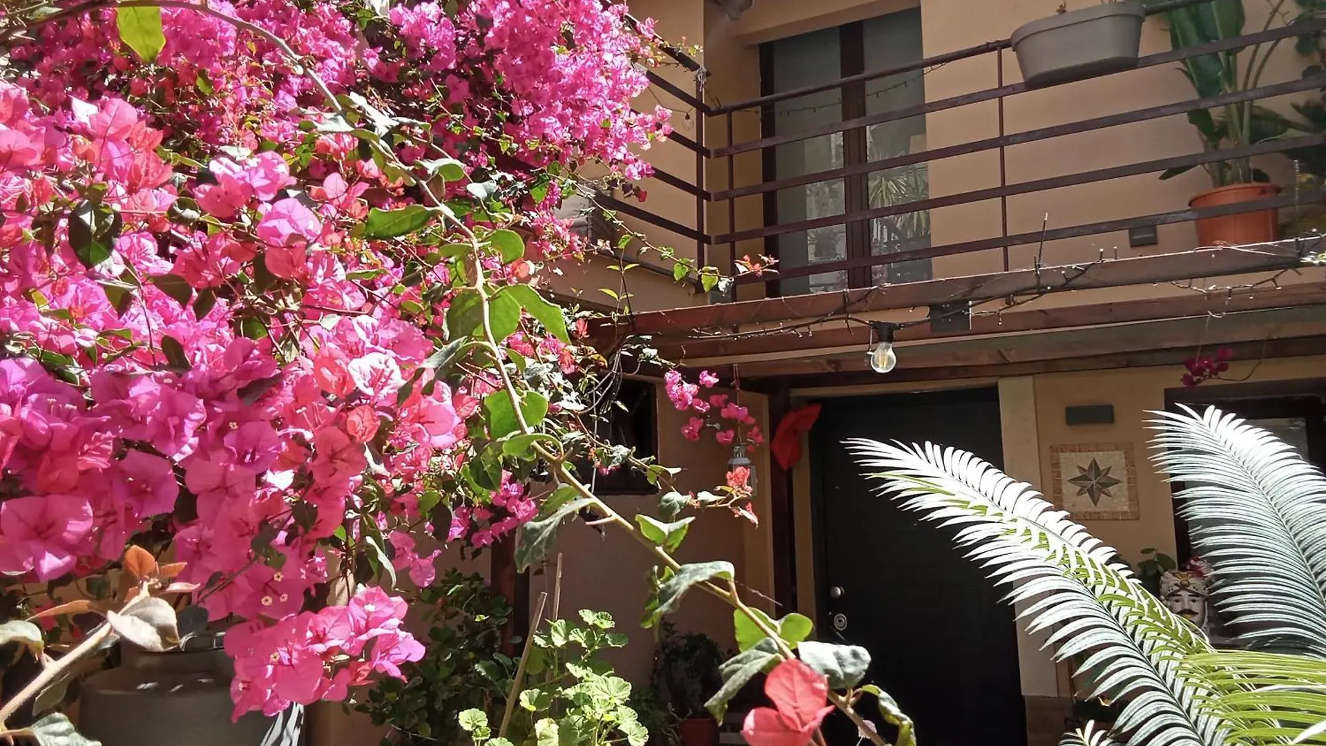 Mizzicahome Solemare CTA
