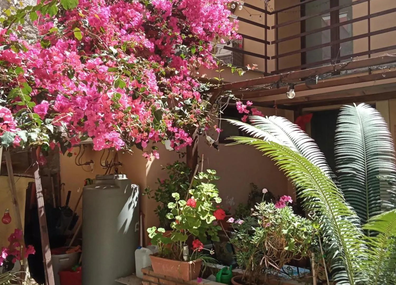 Mizzicahome Solemare Catania